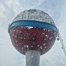용산호호 | 정읍 갈만한 곳 용산호 미르샘다리 산책후기