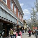 곰보분식 | 캐나다인아웃 블루버드 여행사 로얄투어 록키투어 3박 4일 3일차 후기