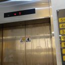 동탄대로시범길 이미지