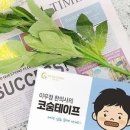 좋은숨쇼핑몰