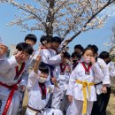 국가대표 나르샤태권도 이미지