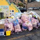 옥도면 장자도리 이미지