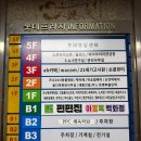 수석프라자 | [안산 중앙동 미용실] 박승철헤어안산중앙점 주효수석디자이너 두피클리닉 솔직후기!