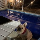 남해씨앤뷰 | 남해감성숙소 씨앤뷰 풀필라펜션 숙박 이용기