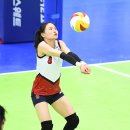 현대인삼 이미지