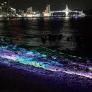 진하목장 이미지