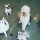 빈스 앤 멍 이미지