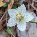 대 덕 사 이미지