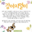 계산동물병원 이미지