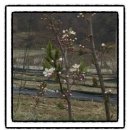 덕일 농장 이미지