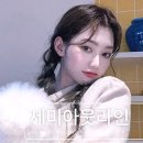 라인 | 세미아웃라인 후기 연예인 눈매 원할때 압구정 쌍수 고르는이유