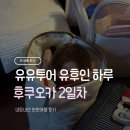 코스모스편의점나들가게 | 몬치치샵, 히타 마메다마치, 벳푸 가마도지옥, 유노하나, 편의점 추천, 스타벅스 꿀팁(+유후인지도 공유)