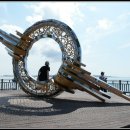 바다와소나무 이미지