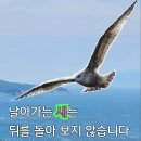 10월 16일 (월)출석 부릅니다. 이미지