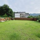 밸런스독 이미지