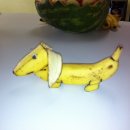 운서역 푸르지오 푸른도서관 | [일본 워홀] D-??? 왜노자 신청기