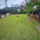 분향동길 이미지