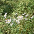 선배농장 이미지