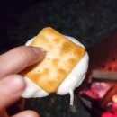 밀양 캠핑 : &#39;은하수캠핑관광농원&#39; 솔직 후기