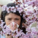 송파다이아튼튼의원 이미지