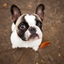 김포24시 힐 동물의료센터 이미지