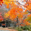 연서우체국 이미지