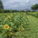 참새농장 이미지