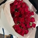 플로라시우 이미지