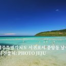 정방동-03 티스토리