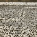 브이지(주) 이미지