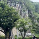 달리아커피 단장면 이미지