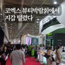 온도뷰티 | 코스모뷰티서울 2026 | 코엑스 뷰티 박람회 후기