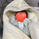 효성의집 | 효성병원 본느마망 조리원 vvip 2주 상세한 솔직후기