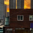 스윗투쓰 이미지