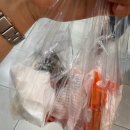 커피하마 | 강남역 하마커피 하마빵 솔직후기 | 종류부터 위치까지 정리