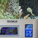 (주)모루미디어개발 | 국립해양박물관 부산 영도 실내 가볼만한곳 특별전시 층별안내 주차