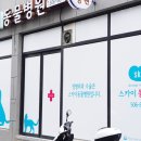 소로동물병원 이미지
