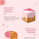 스타벅스 대전송강