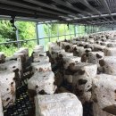 청봉 농장 이미지