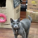 벌교파3골프연습장 이미지