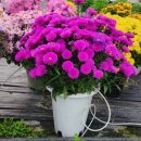 맑은샘농장 이미지