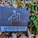 왕피천힐링팜