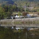 알프스관광펜션 이미지