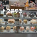 5517 | 홍대 비포블루밍 케이크 | 생일에 다시 찾은 복숭아 케이크 후기