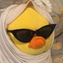 애니타임피트니스 종합운동장점 이미지