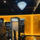 바이브먼트 이미지