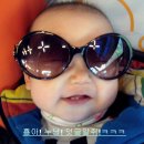 한솔건업 | 연인산 오토캠핑 → 캐라반