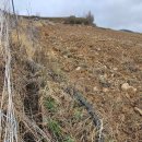 강릉성산 공인중개사사무소 이미지