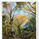 존자암지 이미지