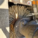 쉐링코리아 이미지